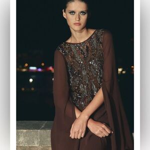 Zara Limited Edition Brown Sequin Dress